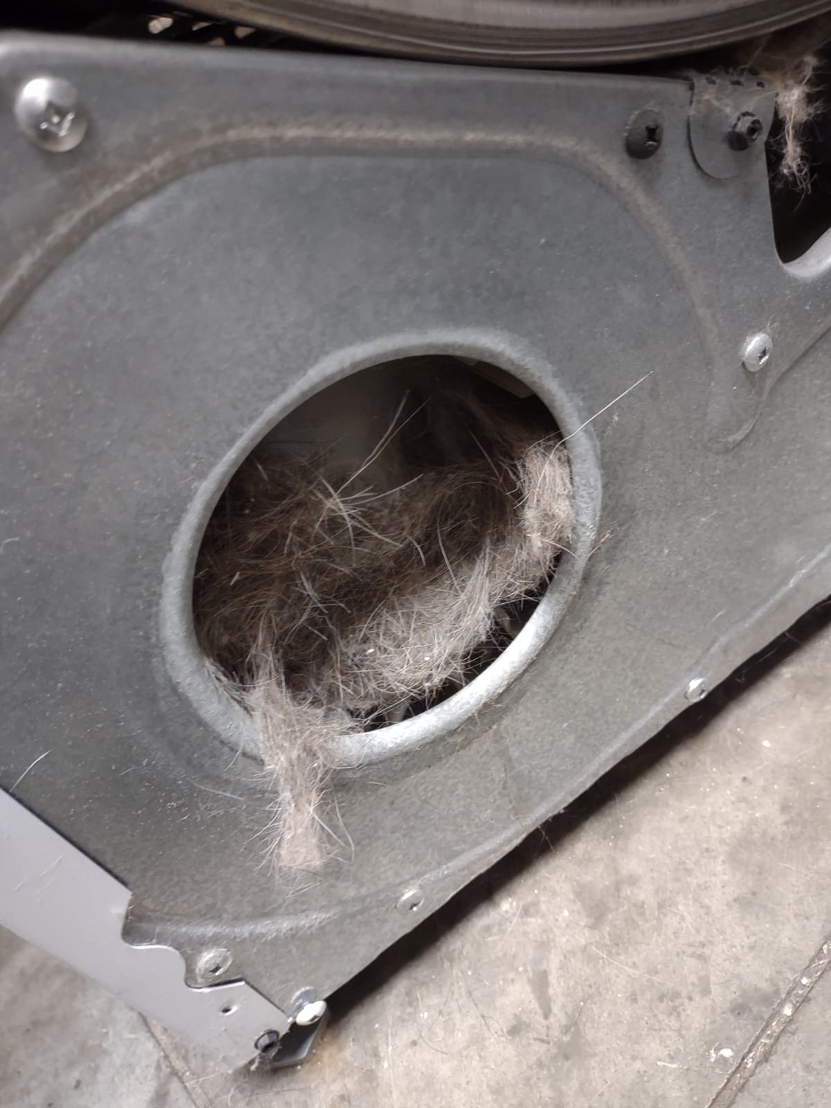 Dryer vent port completely packed with lint